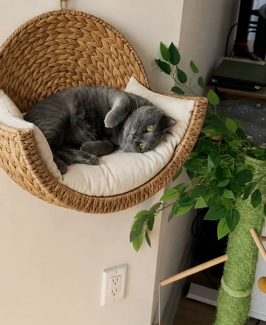 🐾Cozy Cat Bed – A Warm & Comfortable Resting Spot for Your Furry Friend