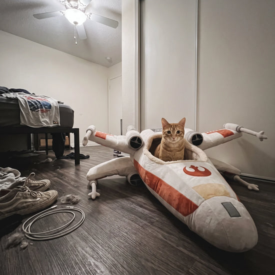 🚀 Space‑Themed Cat Bed – Cozy Cockpit‑Style Hideaway for Cats & Small Dogs